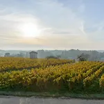 Les Raisins Du Bonheur Frühstückspension Puisseguin