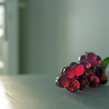 Les Raisins Du Bonheur 3*