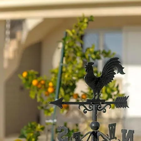 Les Raisins Du Bonheur Bed & Breakfast Puisseguin