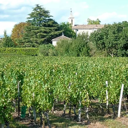 Les Raisins Du Bonheur Puisseguin
