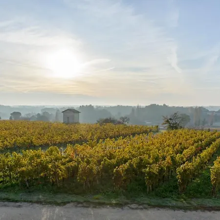 Les Raisins Du Bonheur Bed & Breakfast Puisseguin