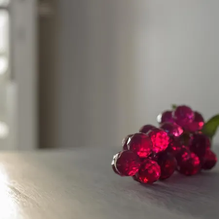 Les Raisins Du Bonheur *