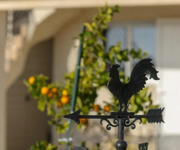 Les Raisins Du Bonheur Puisseguin